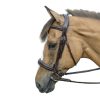 HDR Pro Mono-Crown Padded Bridle