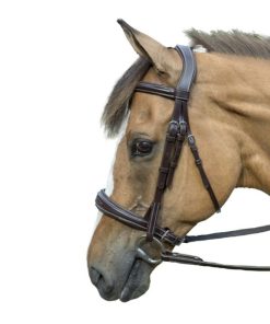 HDR Pro Mono-Crown Padded Bridle
