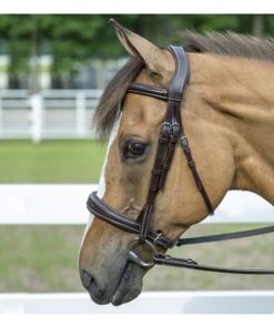 Alternative view of HDR Pro Mono-Crown Padded Bridle