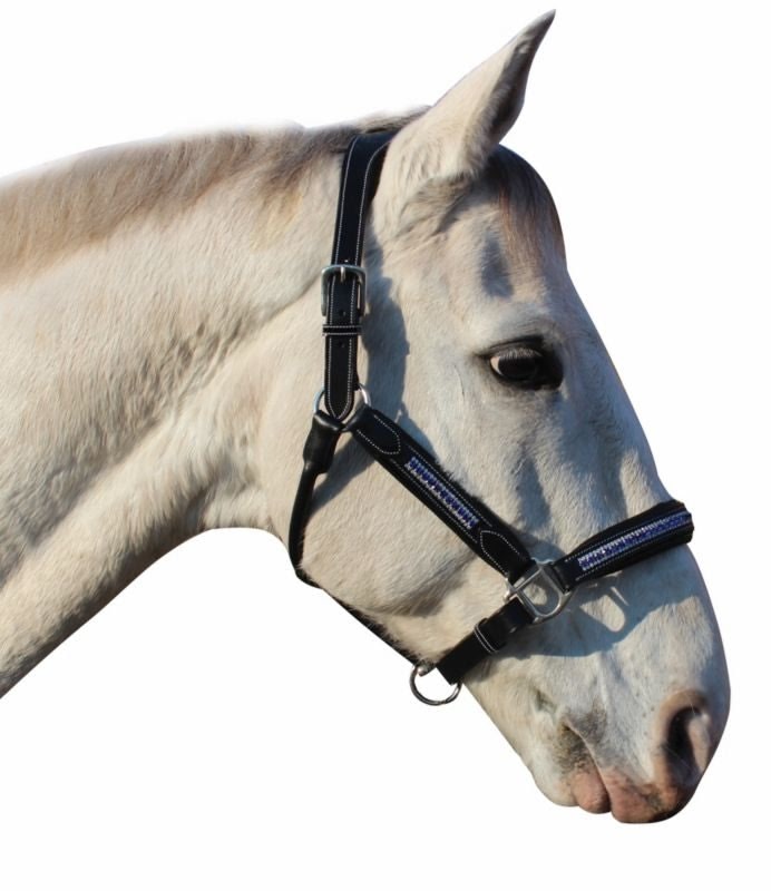 Henri de Rivel Padded Jewel Halter - Image 2
