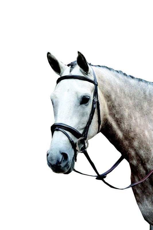 Collegiate Essential Flash Bridle - Image 2