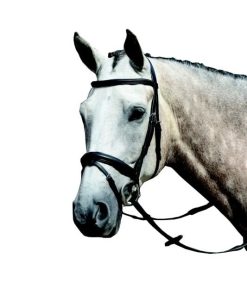 Collegiate Essential Flash Bridle