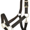 Gatsby Leather Pad Nylon Halter