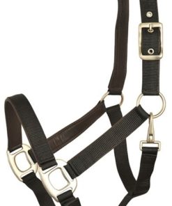 Gatsby Leather Pad Nylon Halter