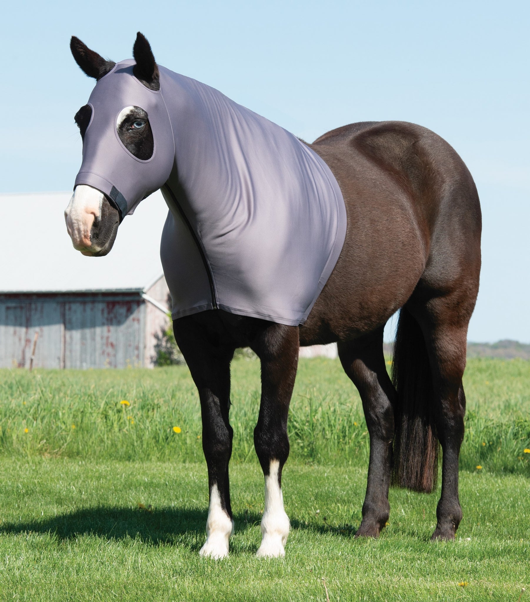 Equine Lycra Hood Powered by Coolcore - Image 2