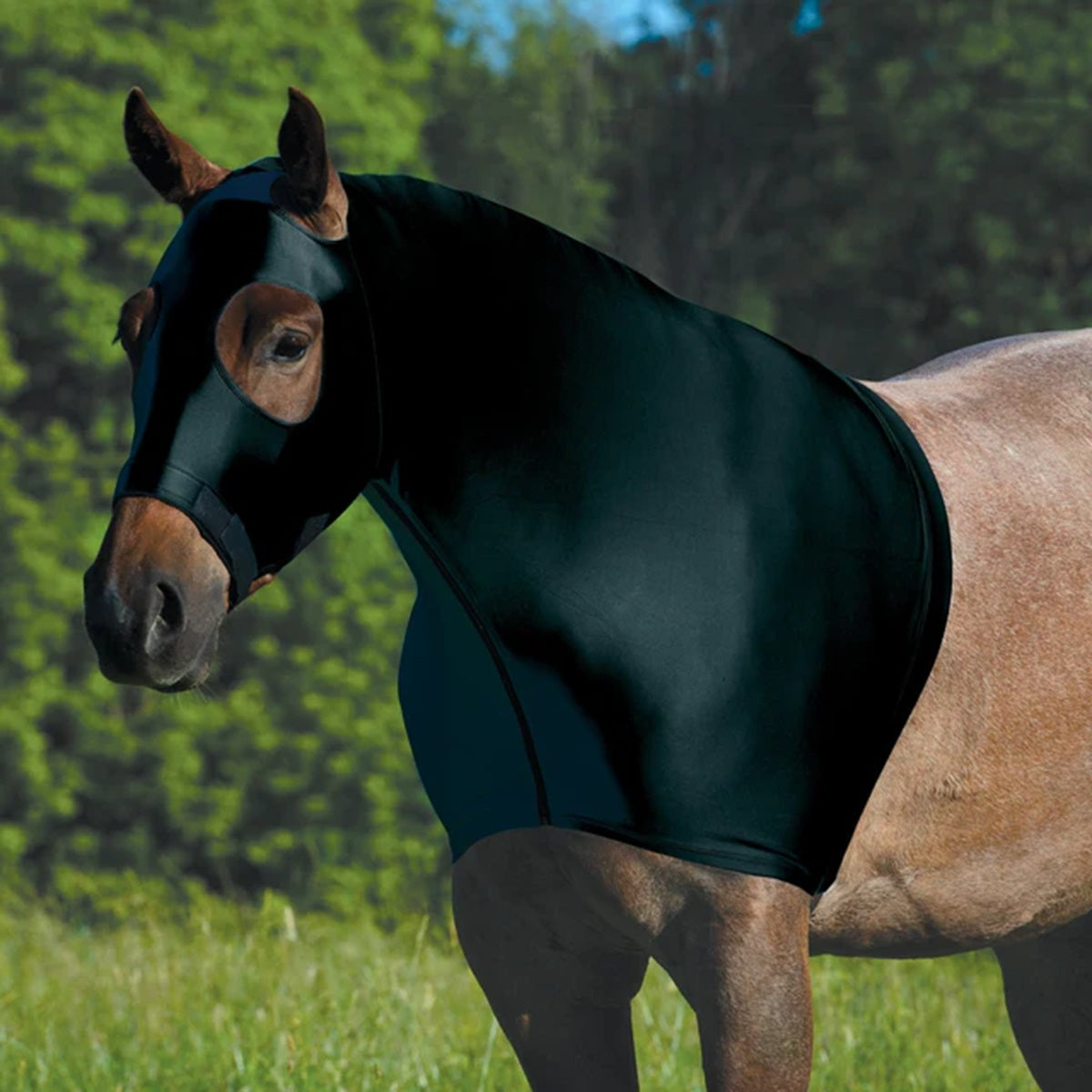 Equine Lycra Hood Powered by Coolcore - Image 3