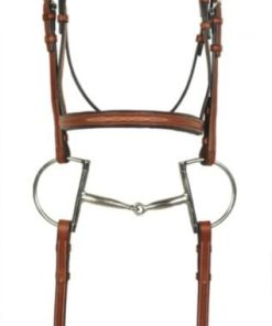 Alternative view of Aramas Fancy Raised Bridle/Reins