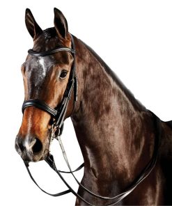 Collegiate ComFiTec Weymouth Bridle