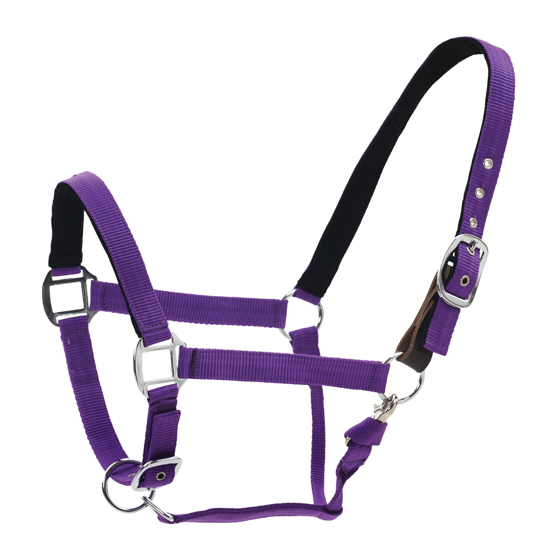 Centaur Solid Cushion Padded Breakaway Halter - Image 2