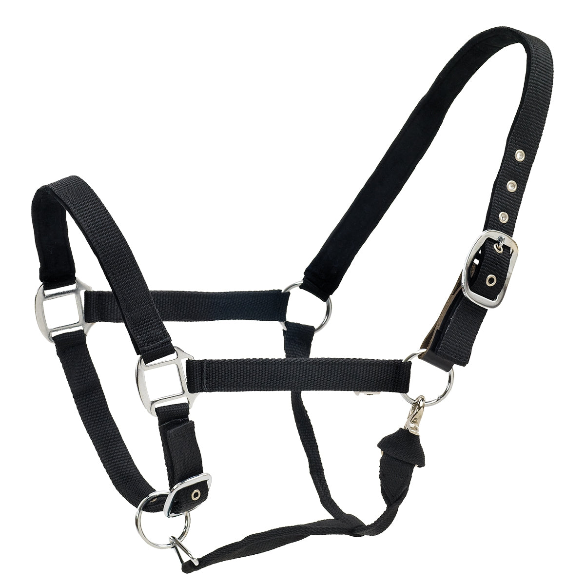 Centaur Solid Cushion Padded Breakaway Halter - Image 3