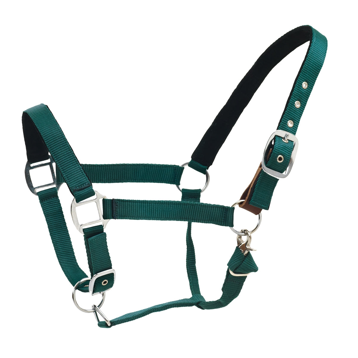 Centaur Solid Cushion Padded Breakaway Halter - Image 5