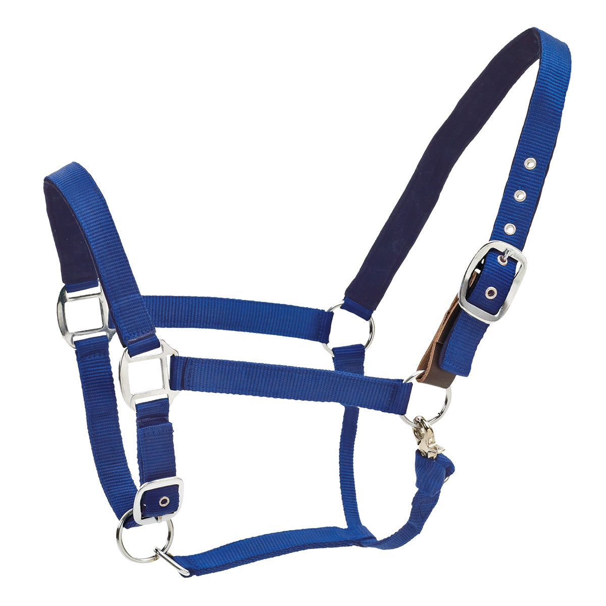 Centaur Solid Cushion Padded Breakaway Halter - Image 6