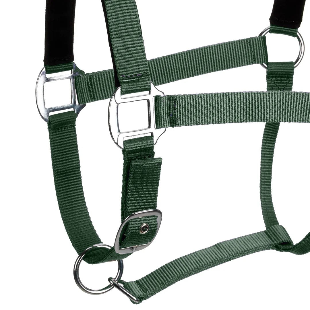 Centaur Solid Cushion Padded Breakaway Halter - Image 7