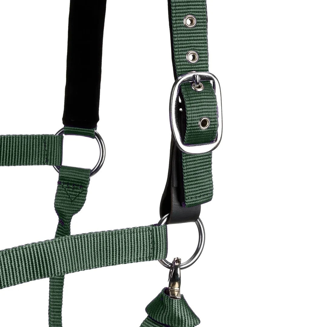 Centaur Solid Cushion Padded Breakaway Halter - Image 8
