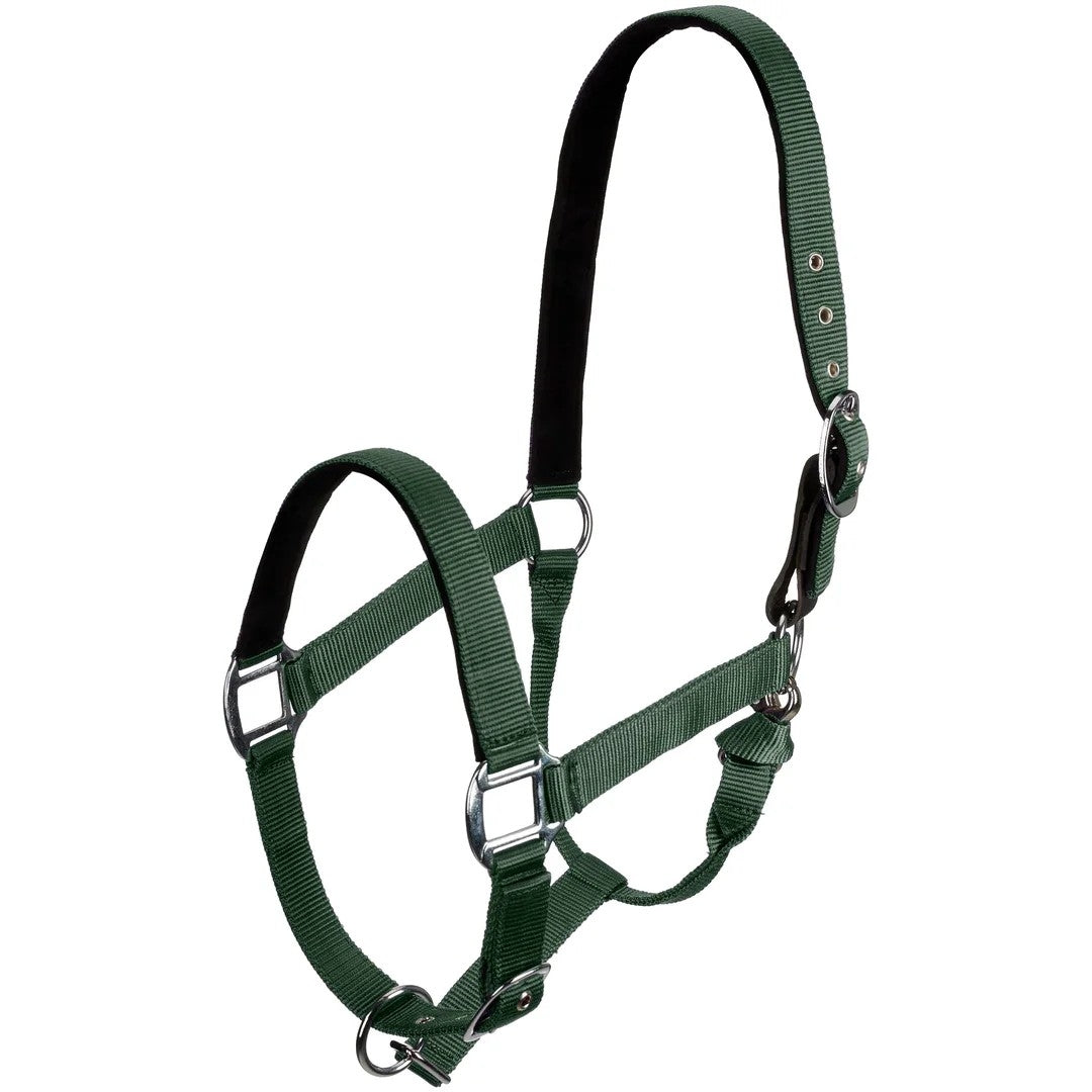 Centaur Solid Cushion Padded Breakaway Halter - Image 9