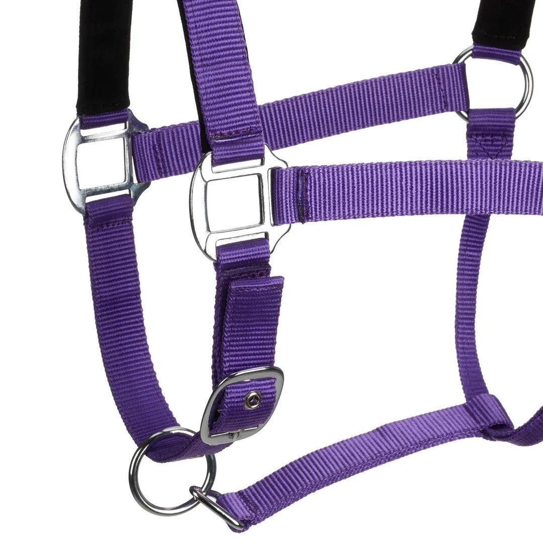 Centaur Solid Cushion Padded Breakaway Halter - Image 10