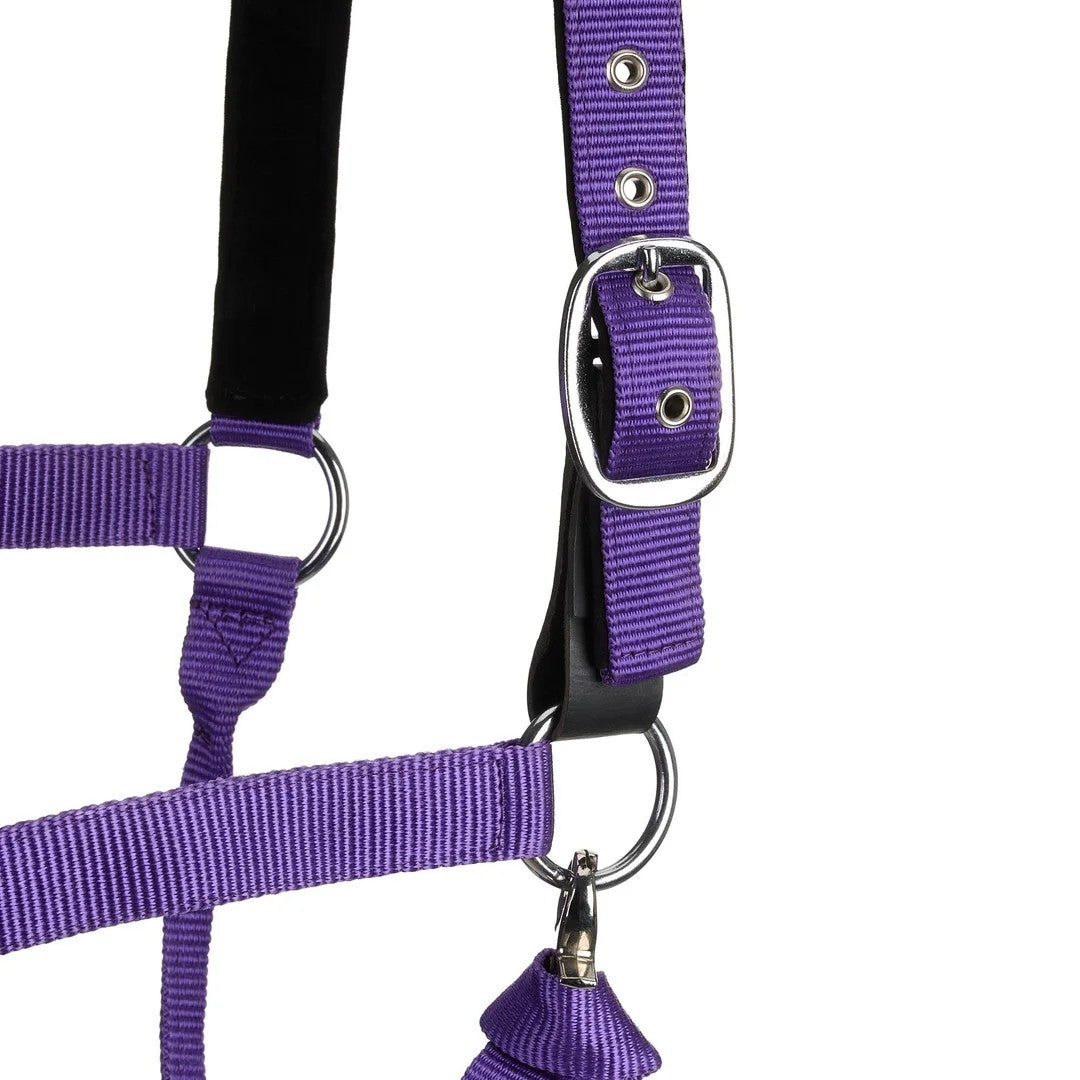 Centaur Solid Cushion Padded Breakaway Halter - Image 11