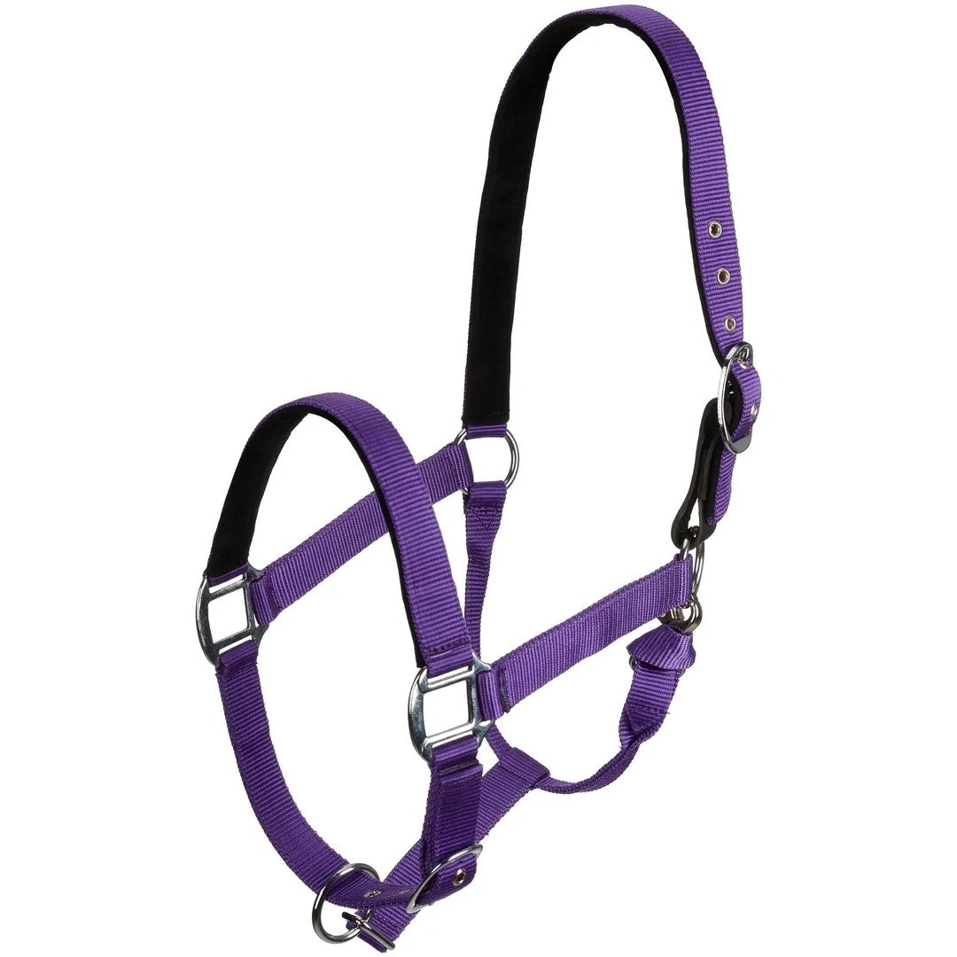 Centaur Solid Cushion Padded Breakaway Halter - Image 12
