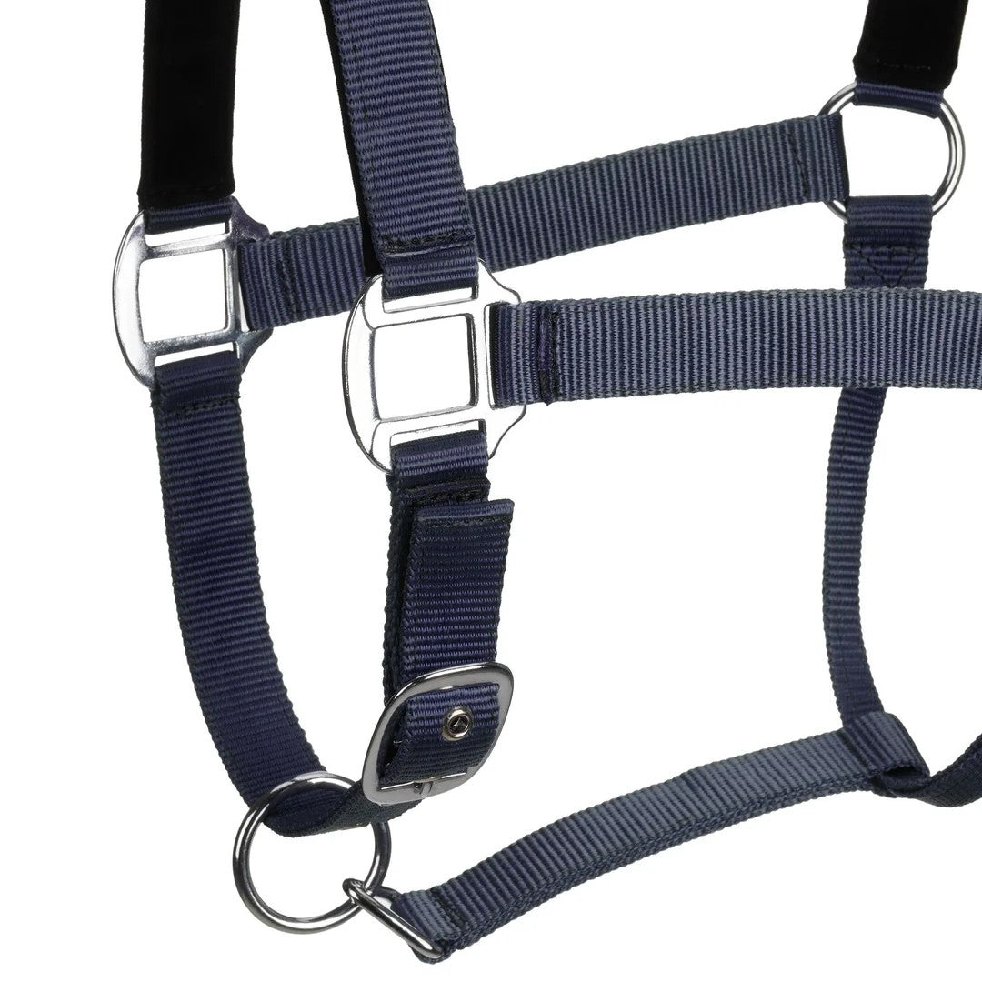Centaur Solid Cushion Padded Breakaway Halter - Image 13