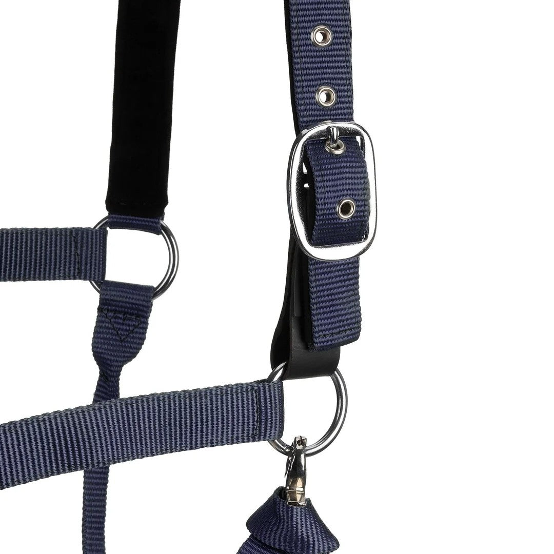 Centaur Solid Cushion Padded Breakaway Halter - Image 14