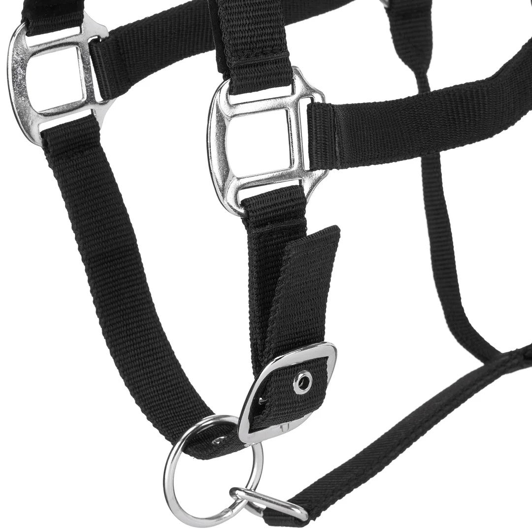 Centaur Solid Cushion Padded Breakaway Halter - Image 16