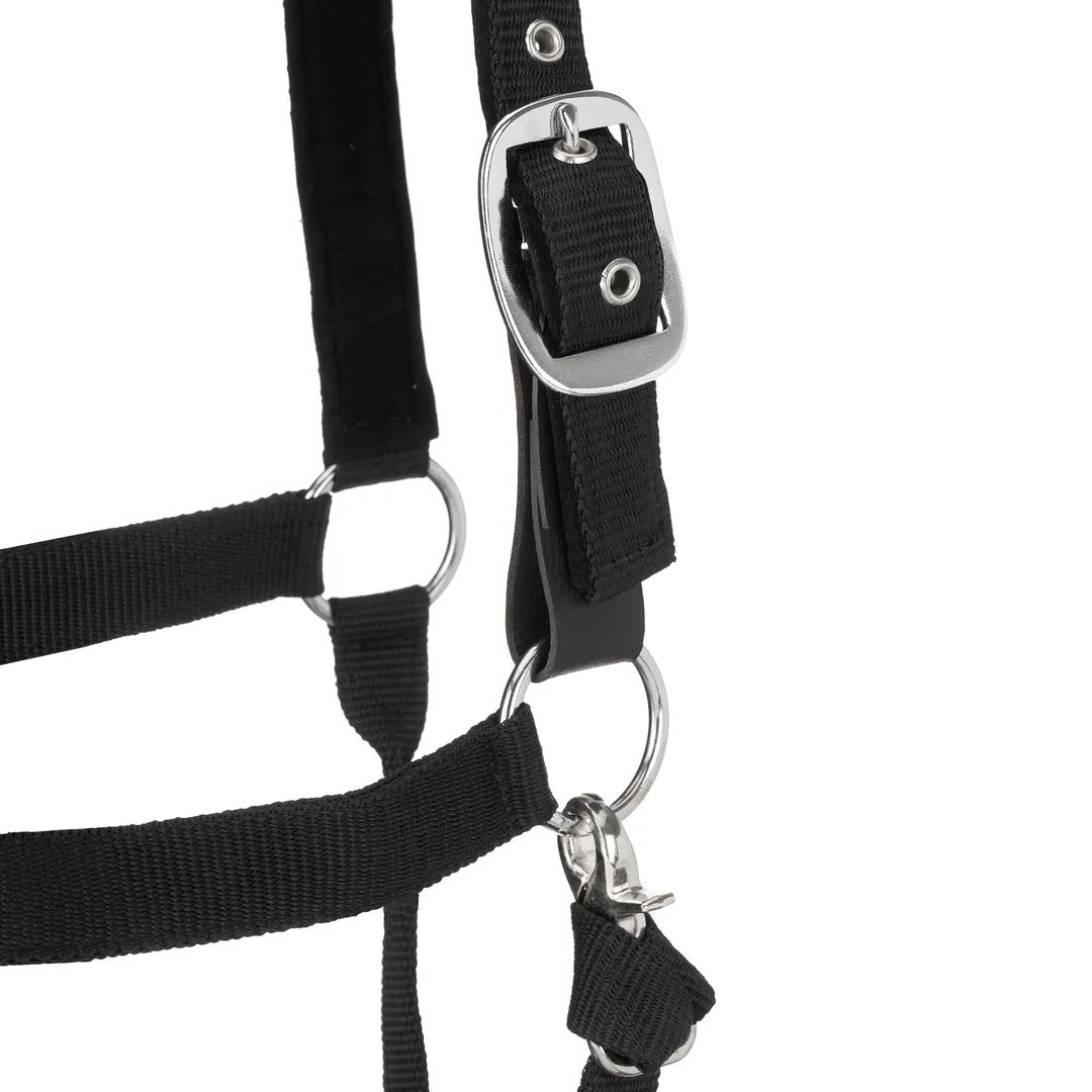 Centaur Solid Cushion Padded Breakaway Halter - Image 17