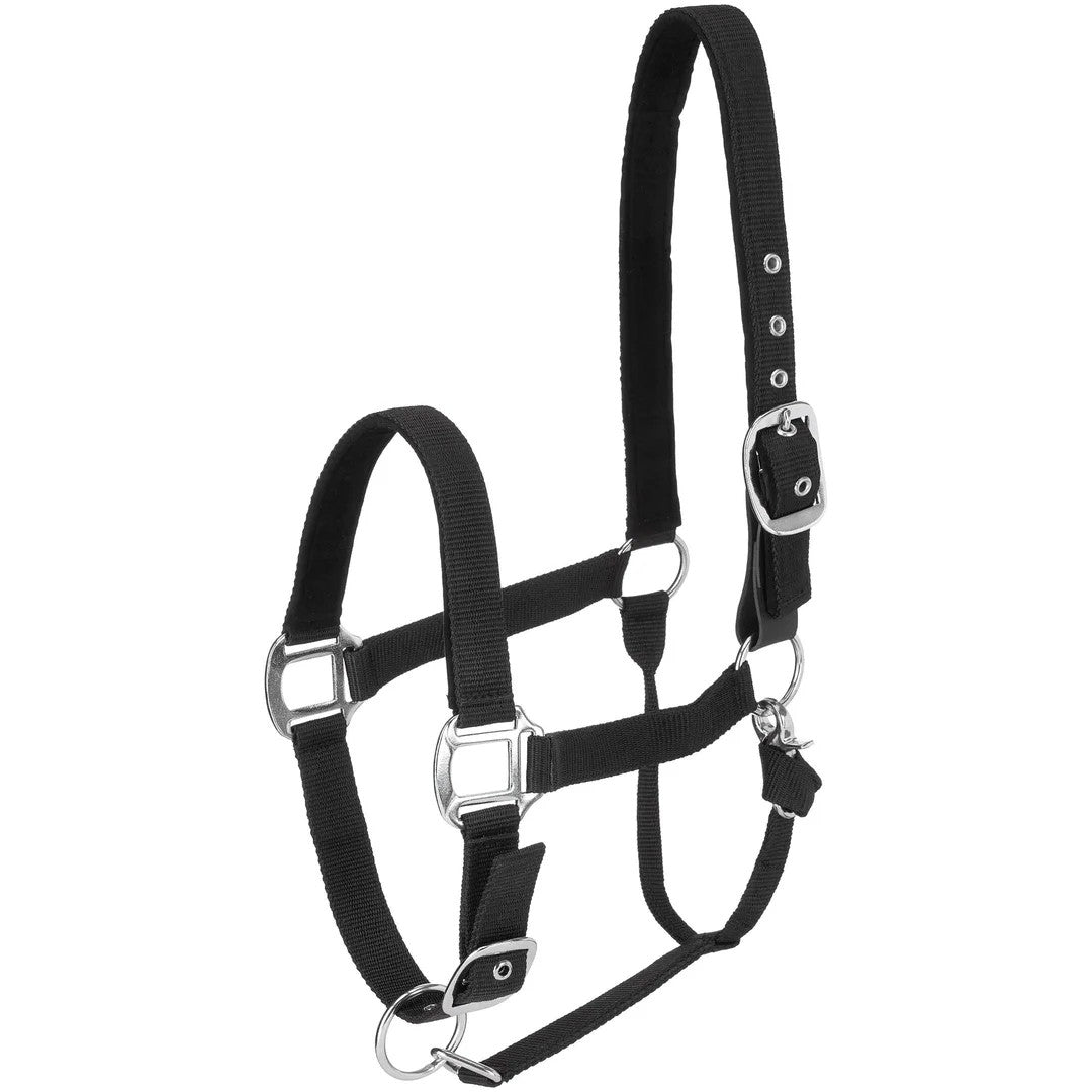 Centaur Solid Cushion Padded Breakaway Halter - Image 18