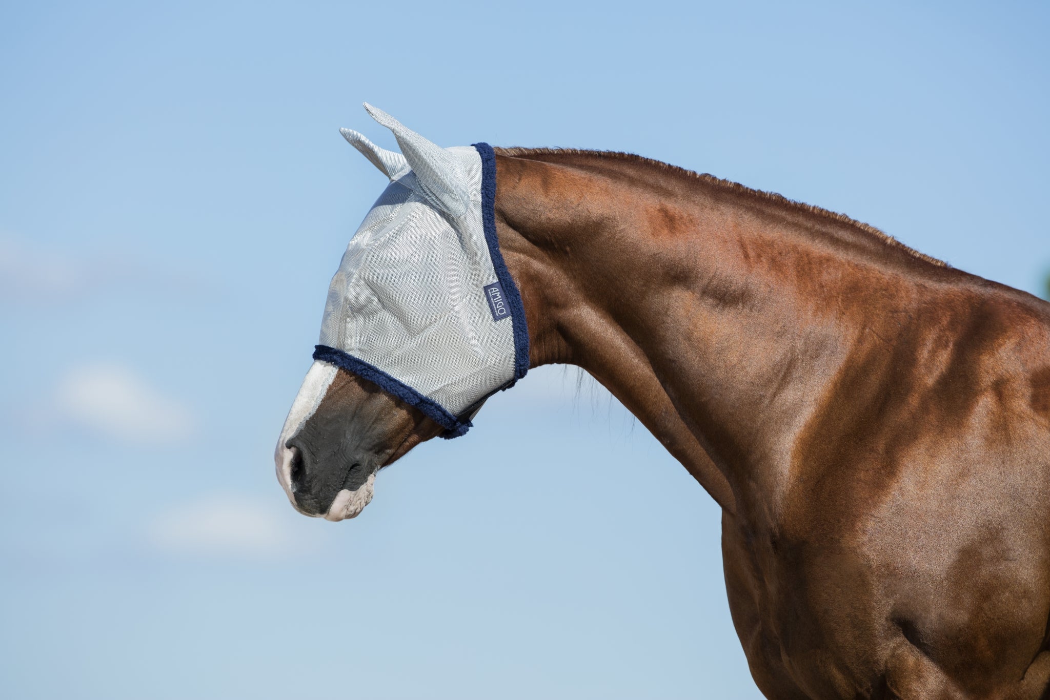 Amigo Fly Mask - Image 2