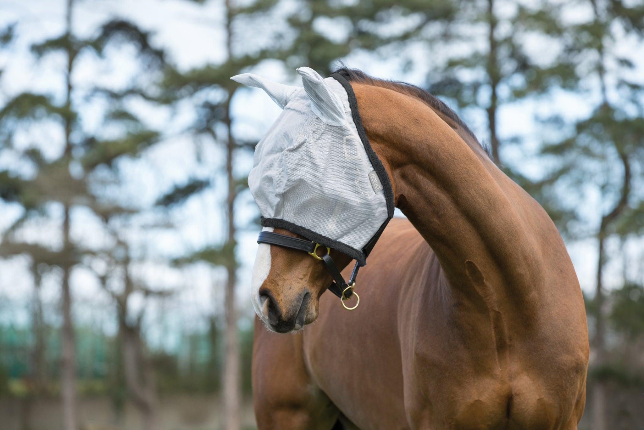 Amigo Fly Mask - Image 3