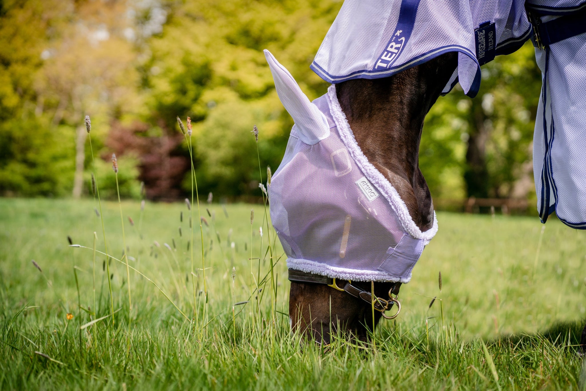 Amigo Fly Mask - Image 5
