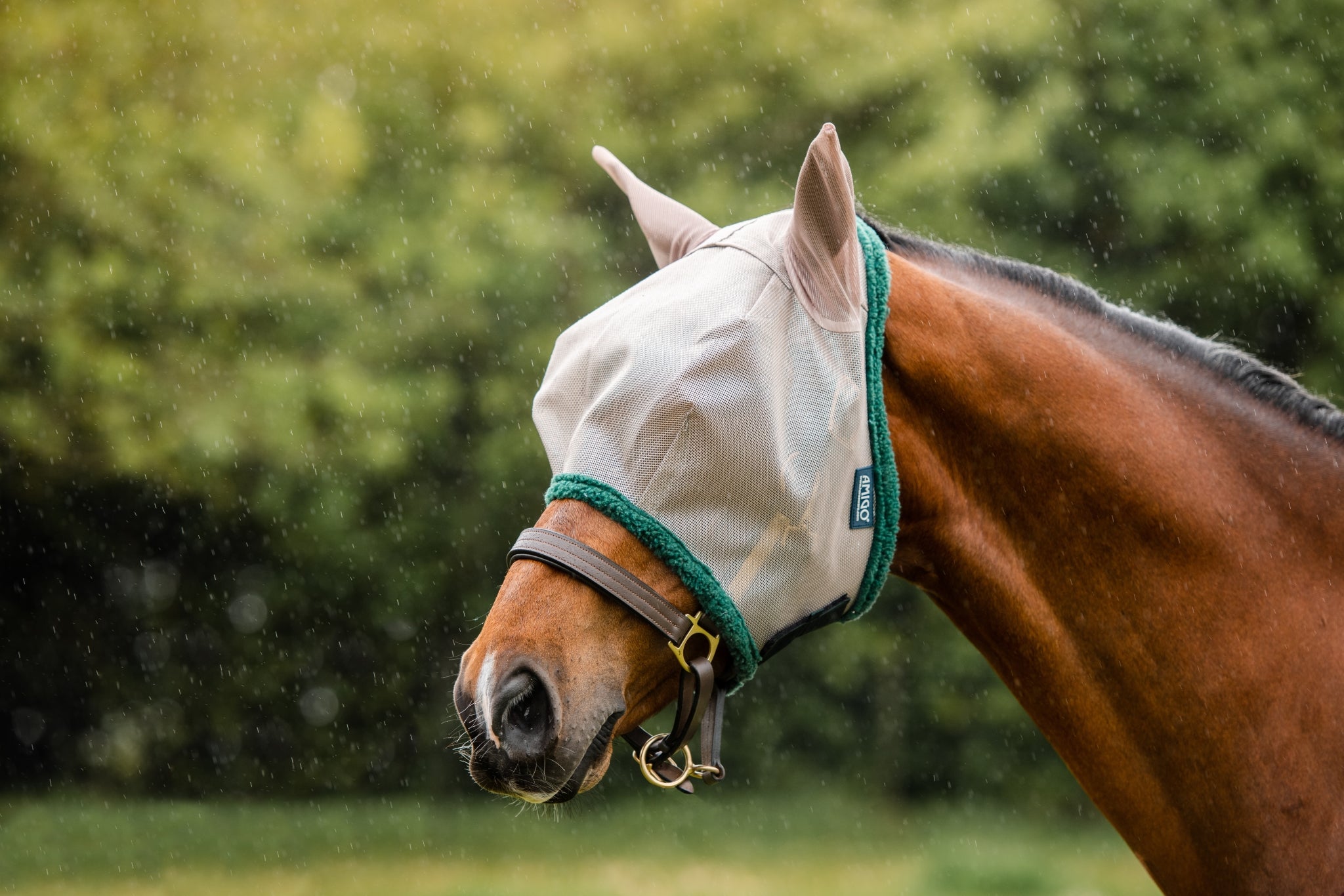 Amigo Fly Mask - Image 6