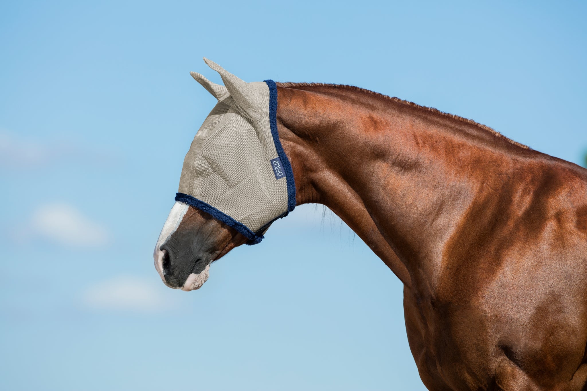 Amigo Fly Mask - Image 7