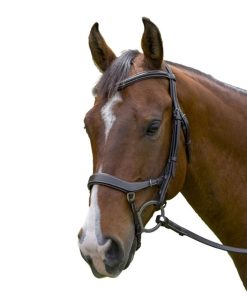 Henri de Rivel Pro Anatomical Bridle