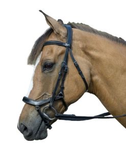 Alternative view of Henri de Rivel Pro Anatomical Bridle