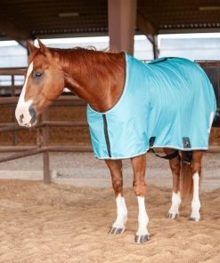 Alternative view of Classic Closed Front Stable Sheet