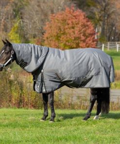 Equinavia Arktis TO Blanket 100g