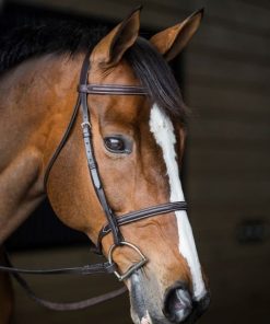 Alternative view of Gatsby Fancy Stitched Raised English Bridle
