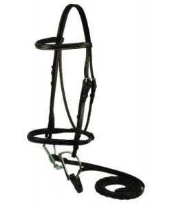 Gatsby Square Raised Bridle