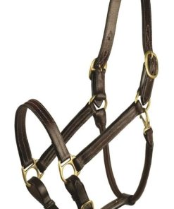 Gatsby Premium Adj Triple Stitched Halter