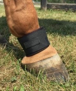 EquiFit Pastern Wrap