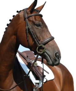 Alternative view of Collegiate Syntovia Cavesson Bridle