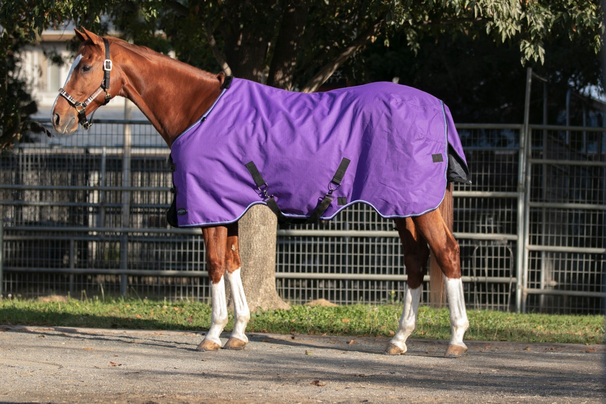 Kensington 1200D Turnout 180g - Image 3