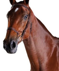 Alternative view of Collegiate ComFiTec Fancy Stitch Bridle