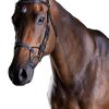 Collegiate ComFiTec Fancy Stitch Bridle