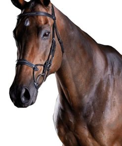 Collegiate ComFiTec Fancy Stitch Bridle