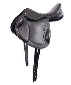Alternative view of Collegiate Degree Mono Event Saddle