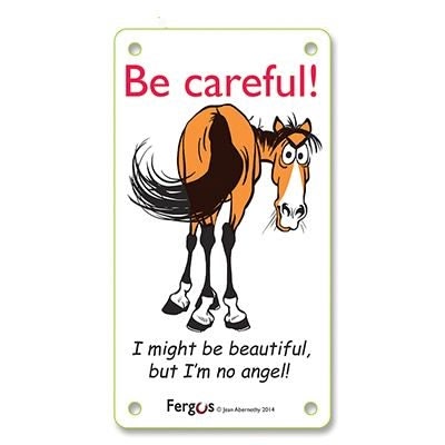 Fergus Stall/Barn Sign - Image 2