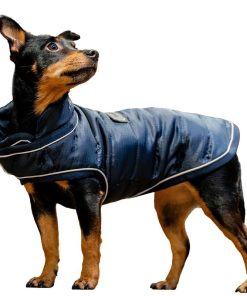 Horseware Signature Dog Blanket