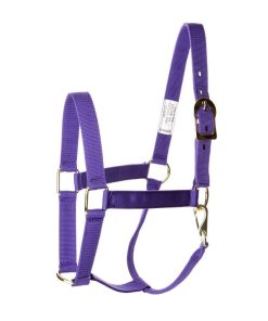 Alternative view of Basic 2-Ply Halter with Snap