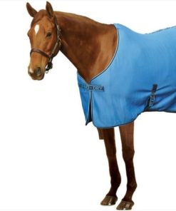 Centaur Turbo-Dry Cooler